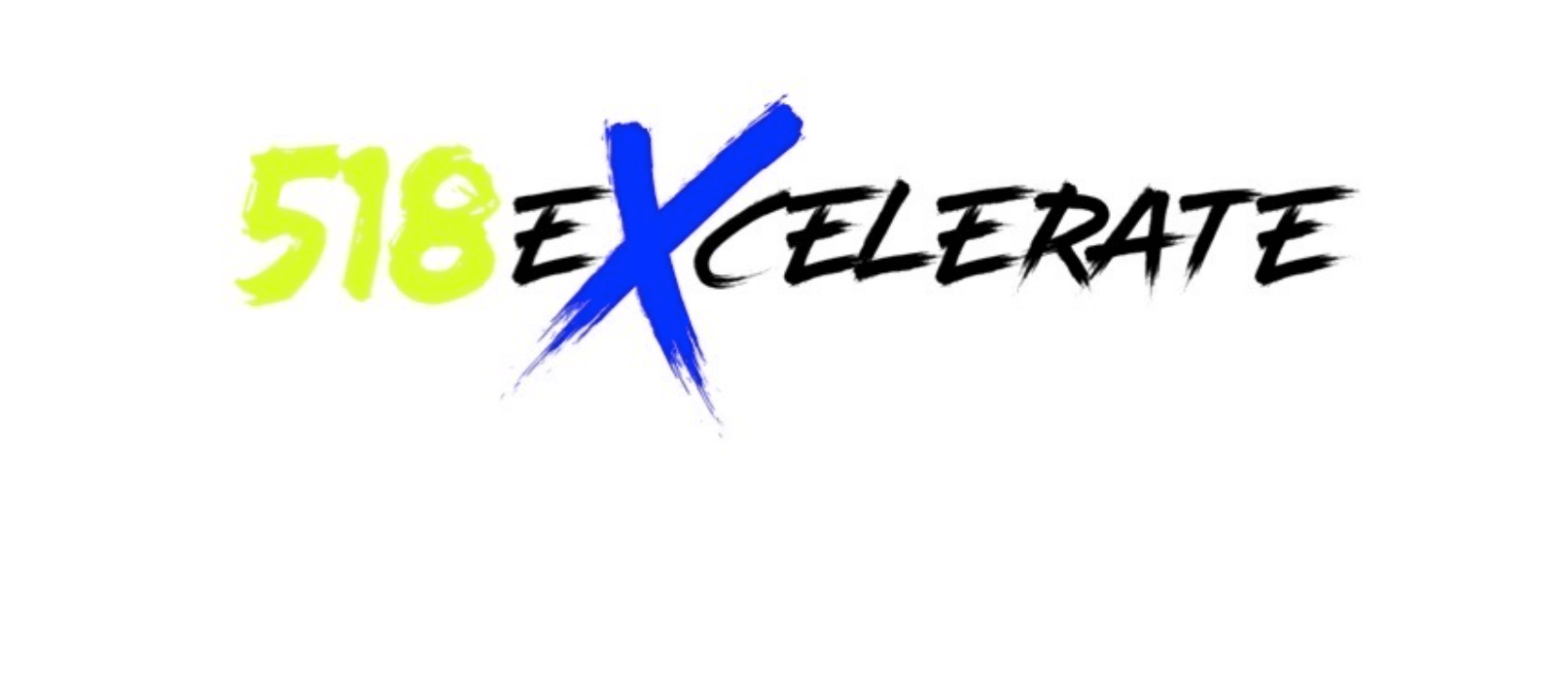Logo for 518eXcelerate girls lacrosse club